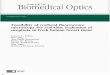 Journal of Biomedical Optics- Feasibility of confocal 