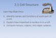 2.1 Cell Structure - Weebly