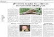 TUESDAY NOVEMBER 11, 2008 News Wildlife trade flourishes 