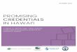 Promising Credentials in Hawaii FINAL REPORT 10.20.20