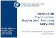 Telehealth Expansion: Acute and Primary Services