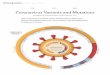 U.S.A. World Health Coronavirus Variants and Mutations