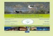 L’Ecolabel Europeo per le strutture ricettive e per i campeggi