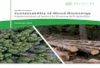 Position Paper Sustainability of Wood Bioenergy