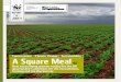 A Square Meal - WWF
