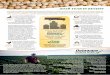 2018 YEAR IN REVIEW - Delaware Soybean Board