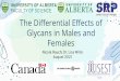 The Diﬀerential Eﬀects of Glycans in Males and Females