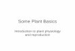 Some Plant Basics - University of Richmond Blogs