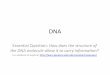 DNA - Weebly