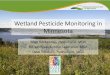 Wetland Pesticide Monitoring in Minnesota