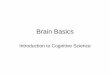 Brain Basics - homepages.hass.rpi.edu