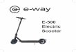 E-500 Electric Scooter
