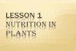 LESSON 1 NUTRITION IN PLANTS