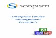 Enterprise Service Management Essentials