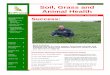 Soil, Grass and Animal Health