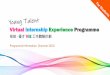 Virtual Internship Experience Programme