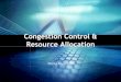 Congestion Control & Resource Allocation