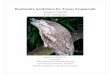 Husbandry Guidelines for Tawny Frogmouth