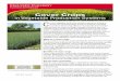Cover Crops in Vegetable Production Systems