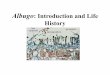 Albugo: Introduction and Life History