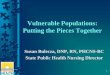Vulnerable Populations: Putting the Pieces Together