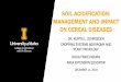 SOIL ACIDIFICATION: MANAGEMENT AND IMPACT ON CEREAL …