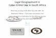 Legal Development in Cyber Crime Law in South Africa