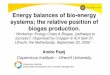 Energy balances of bio-energy systems; the relative 