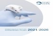 CCAC Strategic Plan 2021-2026
