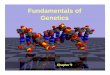 Fundamentals of genetics B.ppt [Read-Only]