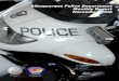 Albuquerque Police Department Monthly Report November 2008