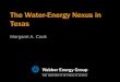 The Water-Energy Nexus in Texas - coloradoriver.org