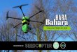 seedcopter Sky Presentation V11