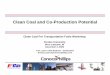 Clean Coal and Co-Production Potential
