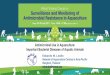Antimicrobial Use in Aquaculture: Important Bacterial 