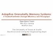 Adaptive Granularity Memory Systems - University of Texas 