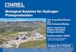Biological Systems for Hydrogen Photoproduction - Energy