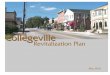 Collegeville Revitalization Plan - Montgomery County, PA