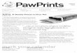 PawPrints - Squarespace