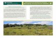 Managing Young Forest Habitat - Plone site