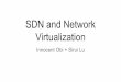 SDN and Network Virtualization