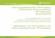 Occupational Therapy Clinical Education Program (OTCEP)