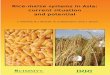 Rice-maize systems in Asia: on al