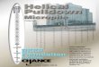 Helical Pulldown Micropile - rsscga.com