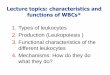 Lecture topics: characteristics and functions of WBCs*