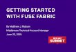 GETTING STARTED WITH FUSE FABRIC