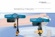 Demag chain hoist The new industry standard Demag Manulift