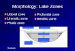 Morphology: Lake Zones - Juniata College