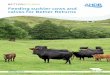 Feeding suckler cows and calves for Better Returns