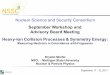 Nuclear Science and Security Consortium